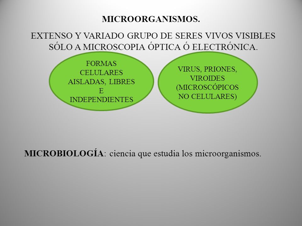 que diferencia hay entre bacterias virus hongos y parasitos